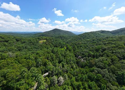 206 Mountain View Drive Cherry Log GA 30522