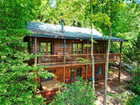 206 Mountain View Drive Cherry Log GA 30522