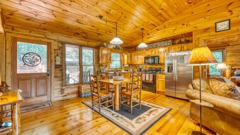 206 Mountain View Drive Cherry Log GA 30522