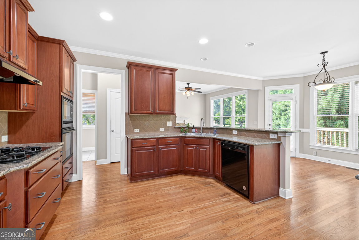 1617 Trilogy Park Drive Hoschton GA 30548