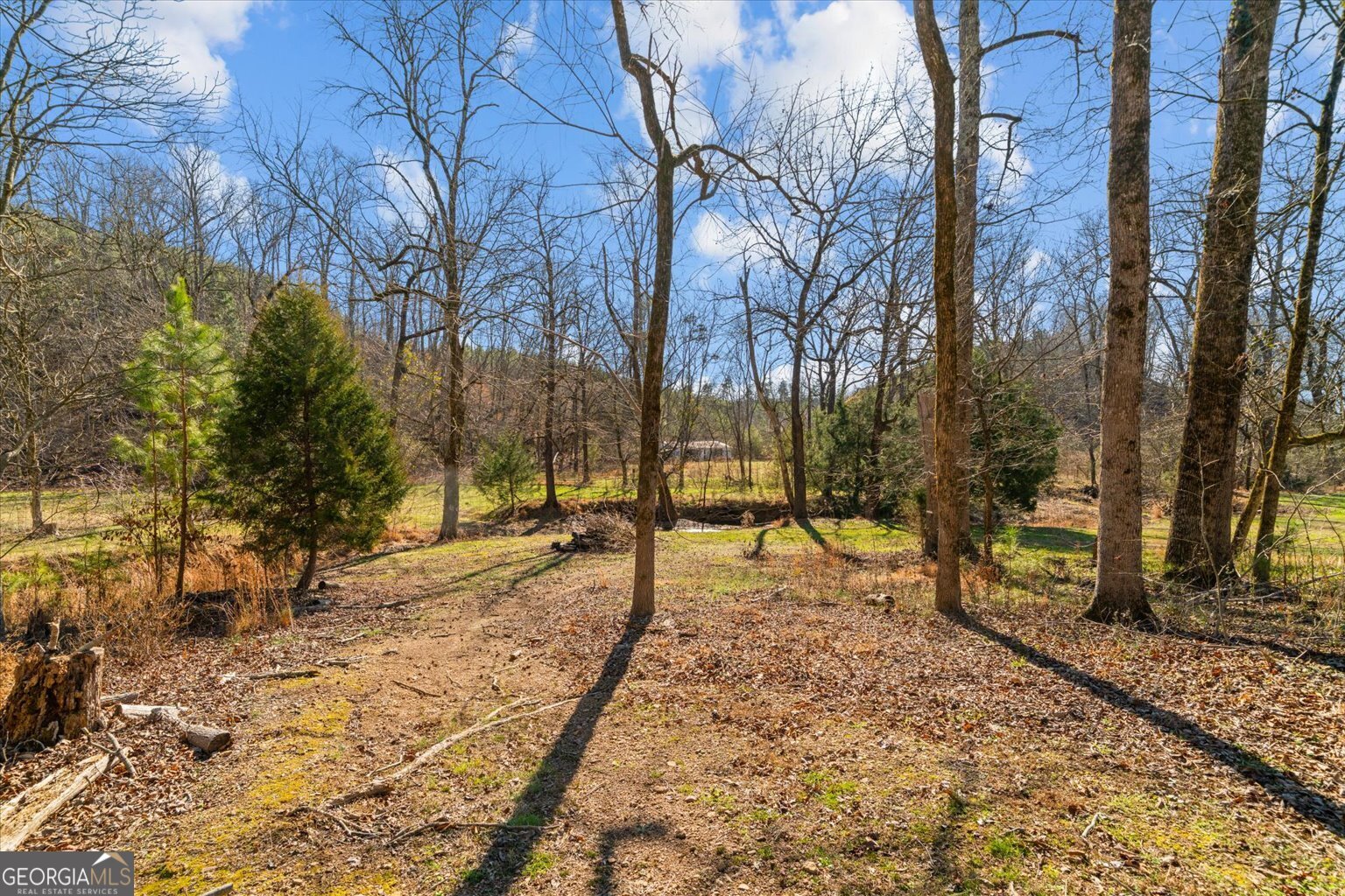 1021 Liberty Church Road Ranger GA 30734