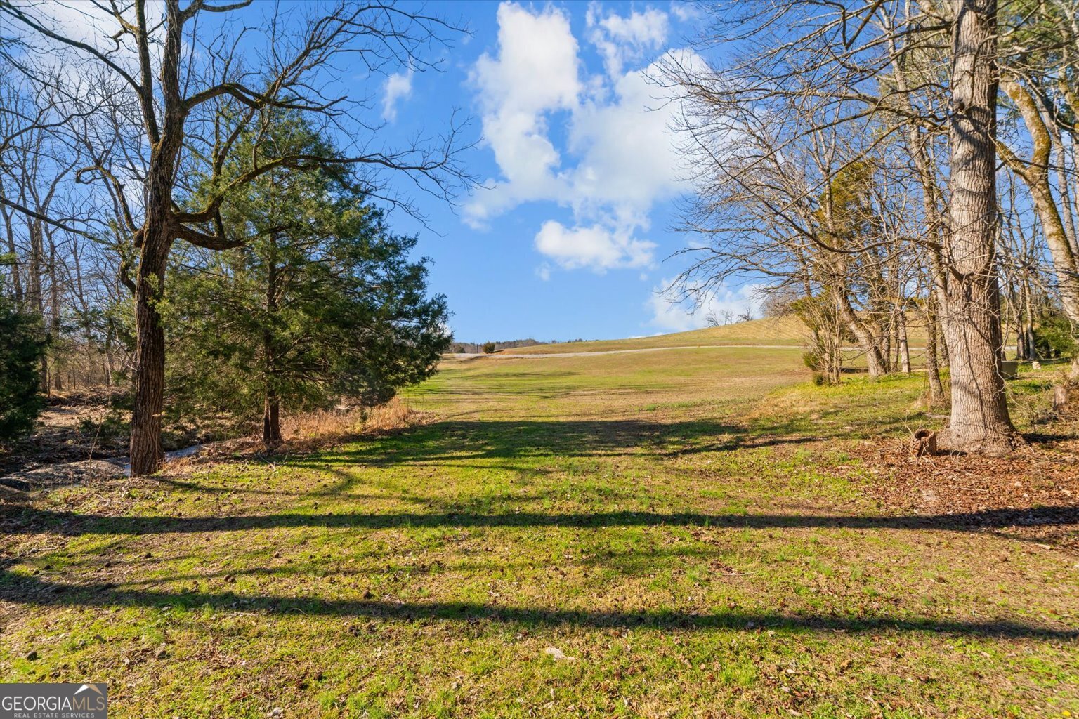 1021 Liberty Church Road Ranger GA 30734