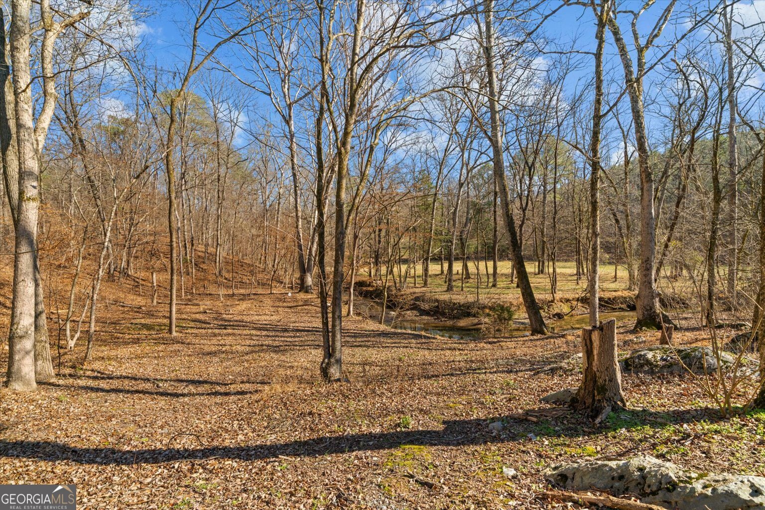 1021 Liberty Church Road Ranger GA 30734