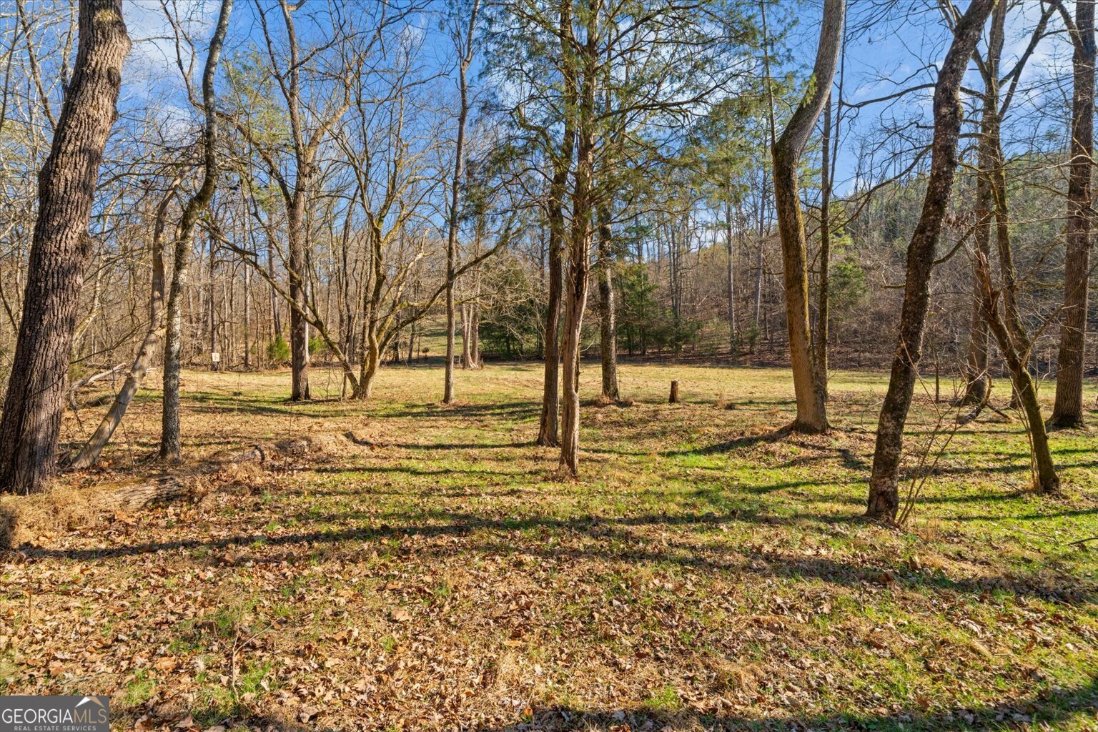 1021 Liberty Church Road Ranger GA 30734