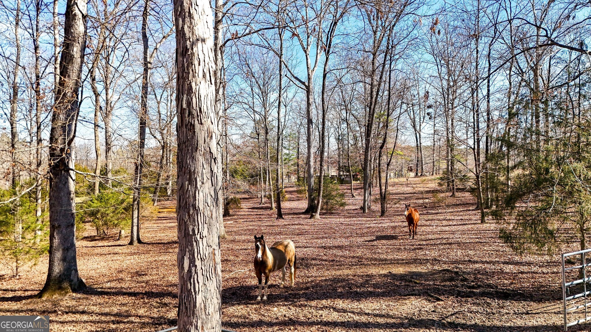 5981 Blacks Bluff Road SW Cave Spring GA 30124