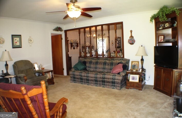 532 Ned Collins Road East Dublin GA 31027