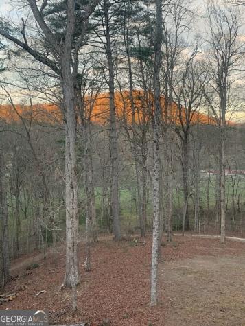 350 Foggy Creek Lane Clarkesville GA 30523