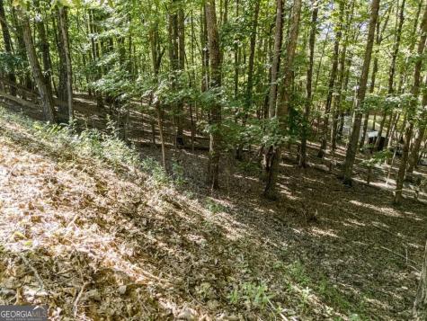 191 Deer Run Road Blairsville GA 30512
