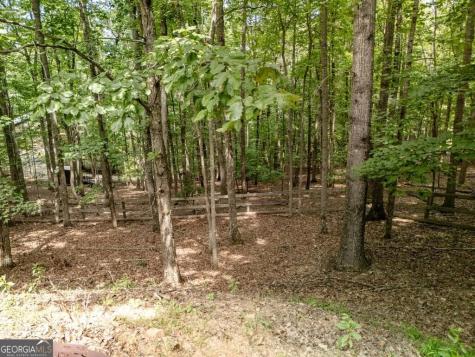 191 Deer Run Road Blairsville GA 30512