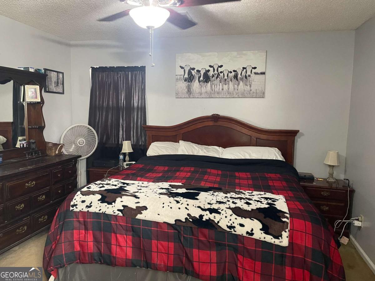 5041 Highway 169 Glennville GA 30427
