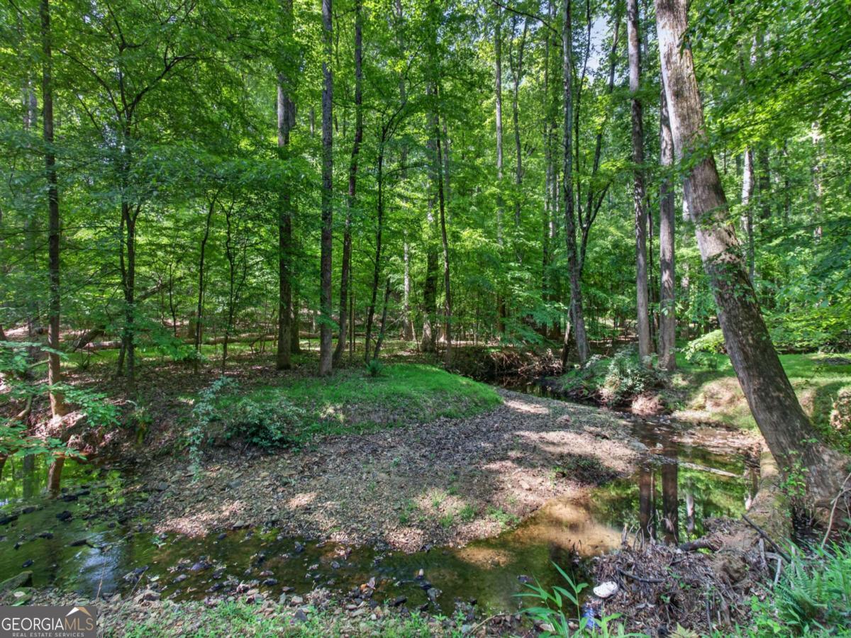 230 Autumn Sage Drive Alpharetta GA 30005