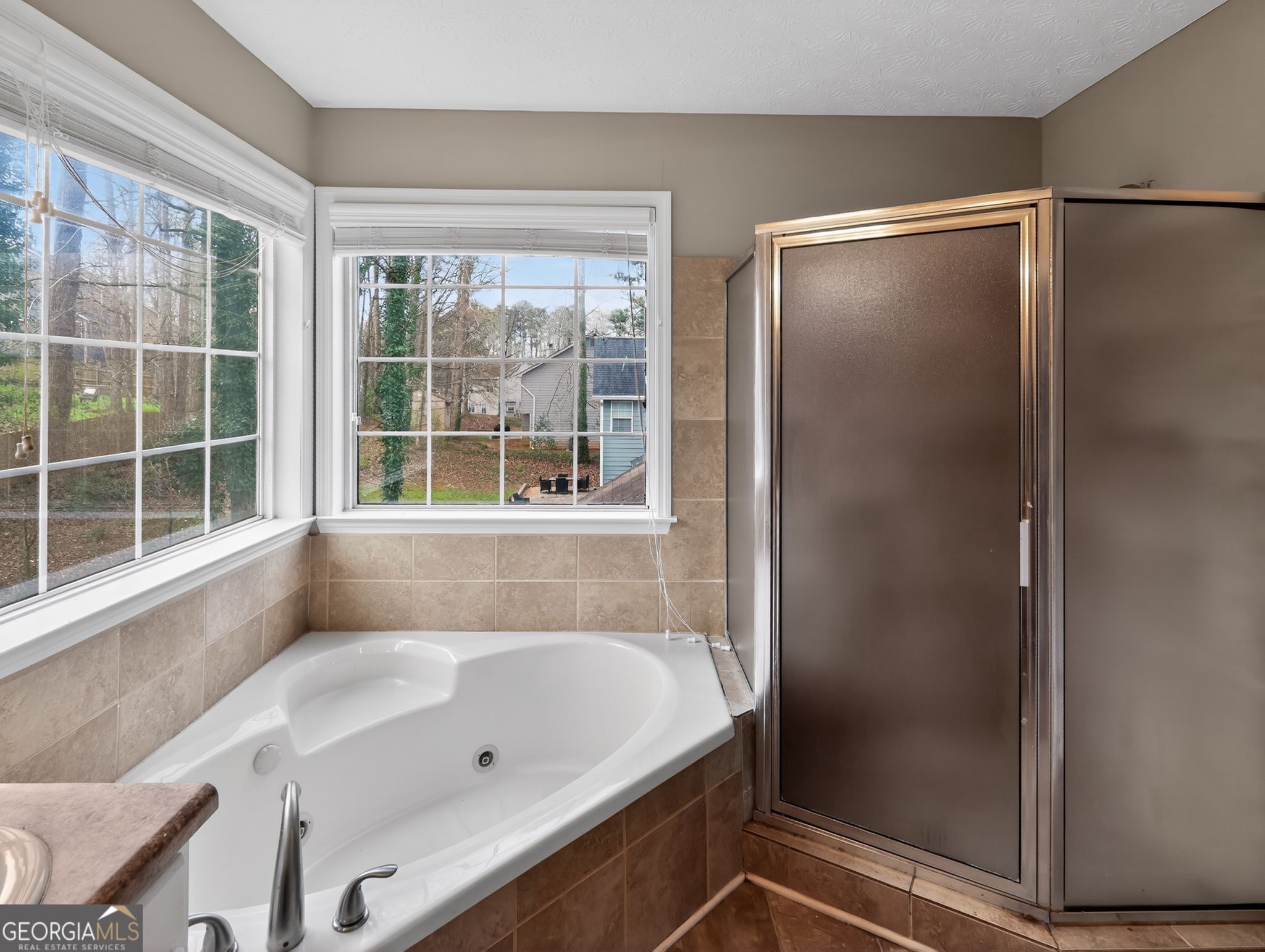 4859 Terrace Green Trace Stone Mountain GA 30088