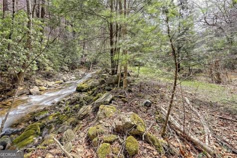 2960 Tate City Road Hayesville NC 28904