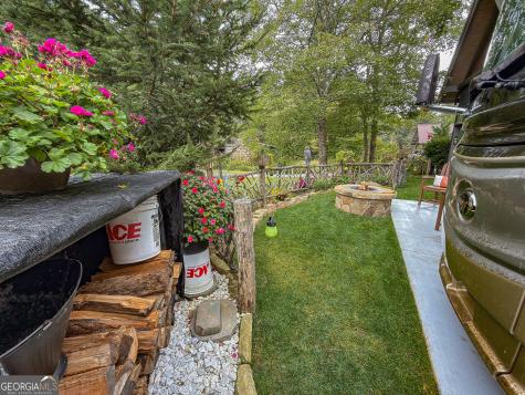 111 Wildflower Road Scaly Mountain NC 28775