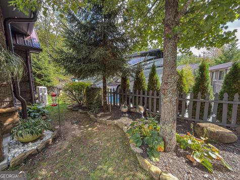111 Wildflower Road Scaly Mountain NC 28775