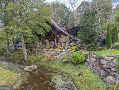 111 Wildflower Road Scaly Mountain NC 28775
