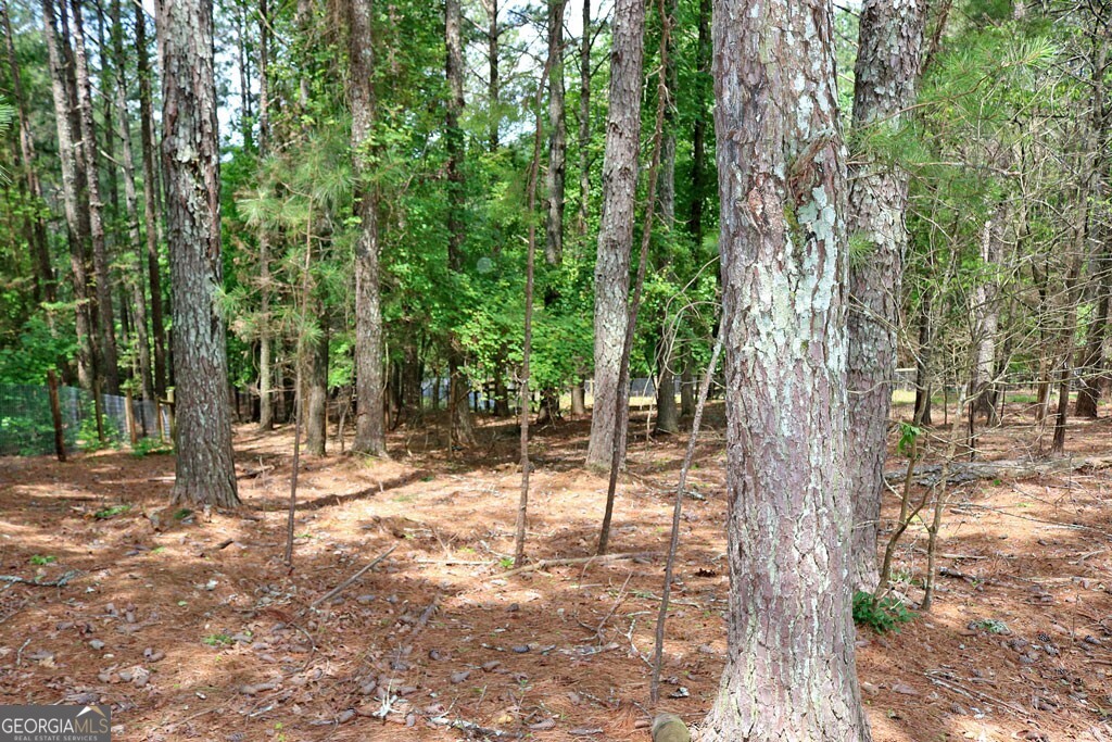 3129 Etchison Road Loganville GA 30052