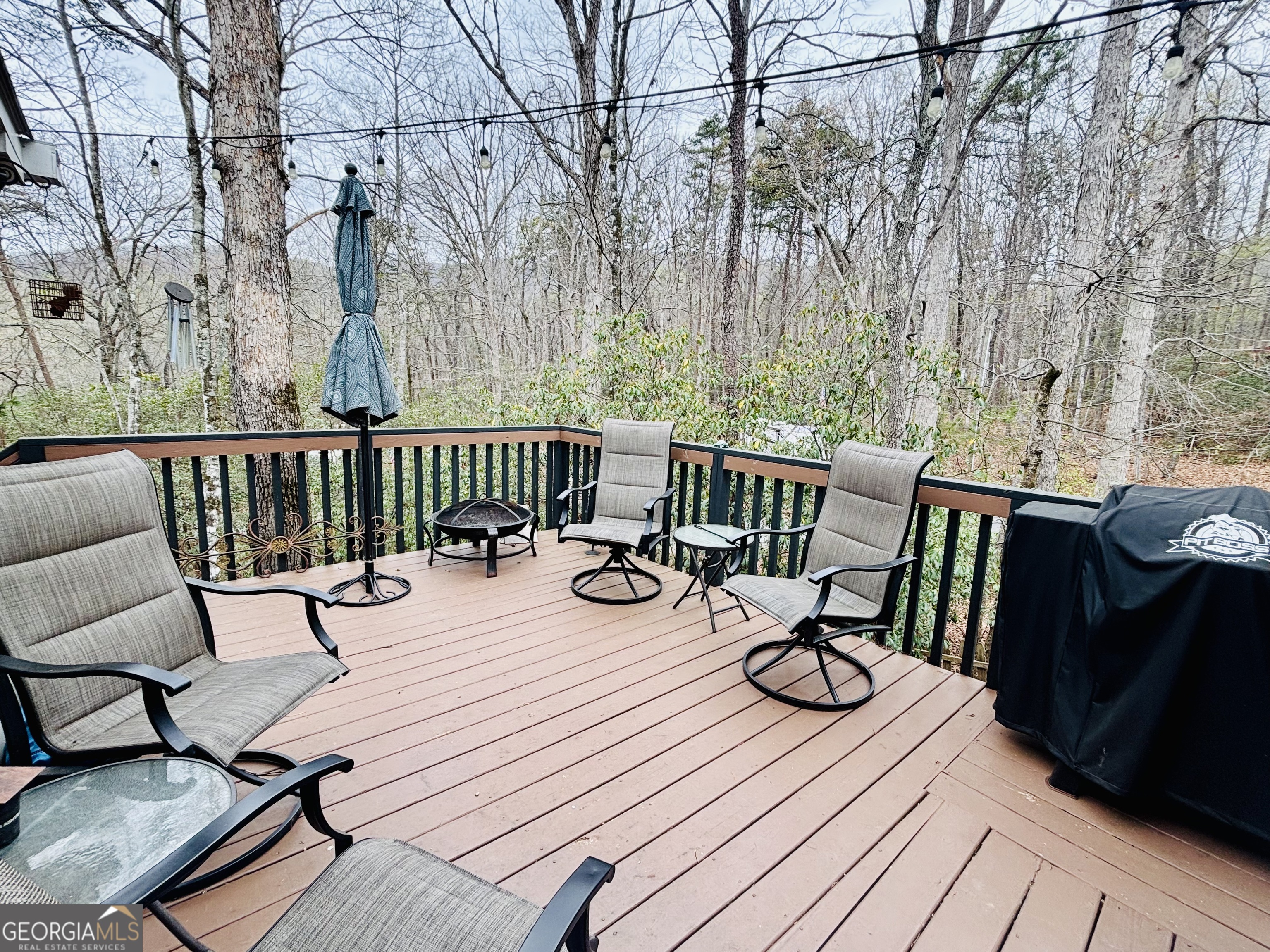 1215 Mountain Shadows Drive Cleveland GA 30528