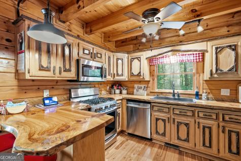 24 Indian Lake Road Mineral Bluff GA 30559