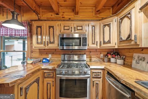 24 Indian Lake Road Mineral Bluff GA 30559