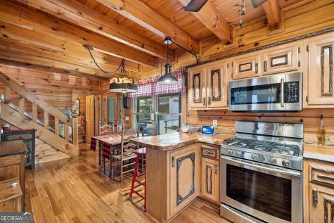 24 Indian Lake Road Mineral Bluff GA 30559