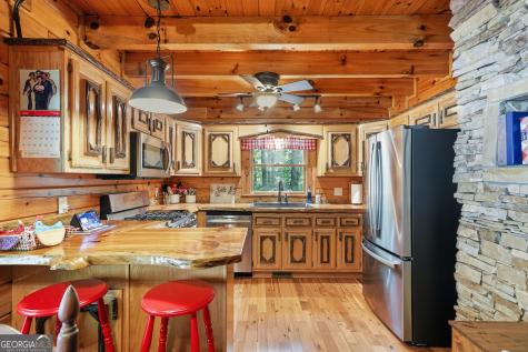24 Indian Lake Road Mineral Bluff GA 30559