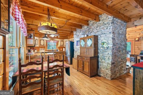 24 Indian Lake Road Mineral Bluff GA 30559