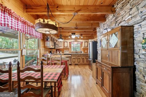 24 Indian Lake Road Mineral Bluff GA 30559