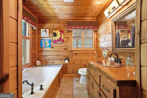 24 Indian Lake Road Mineral Bluff GA 30559