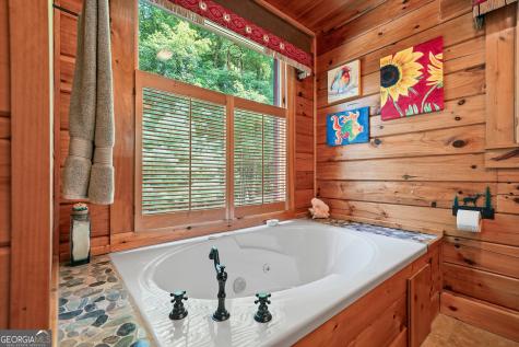24 Indian Lake Road Mineral Bluff GA 30559