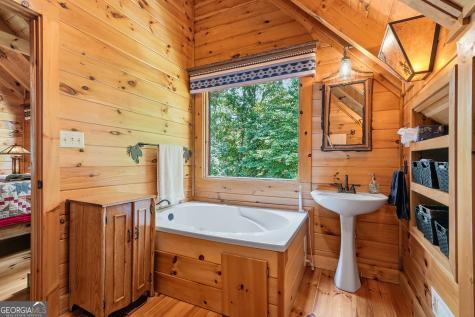 24 Indian Lake Road Mineral Bluff GA 30559
