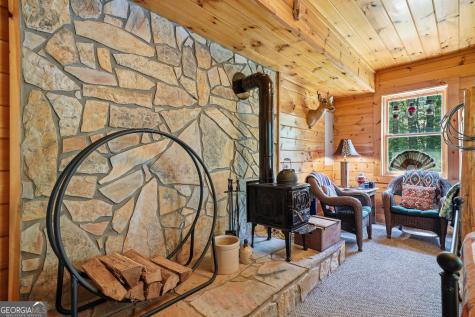 24 Indian Lake Road Mineral Bluff GA 30559