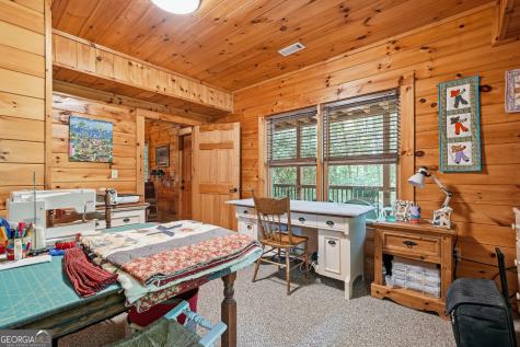 24 Indian Lake Road Mineral Bluff GA 30559