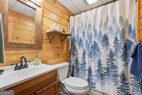 24 Indian Lake Road Mineral Bluff GA 30559