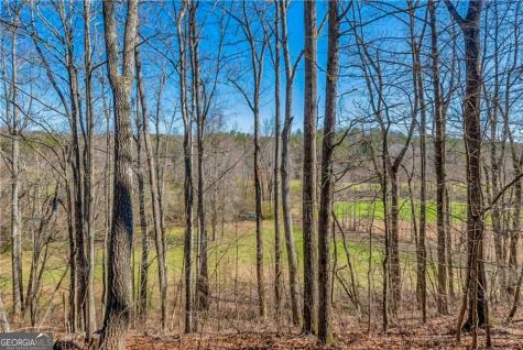 500 Big Sky Trail Dahlonega GA 30533