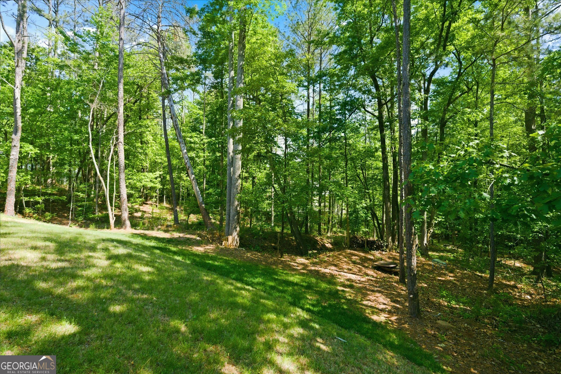 3046 Ridgeview Court Villa Rica GA 30180