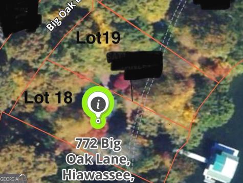 772 Big Oak Lane Hiawassee GA 30546