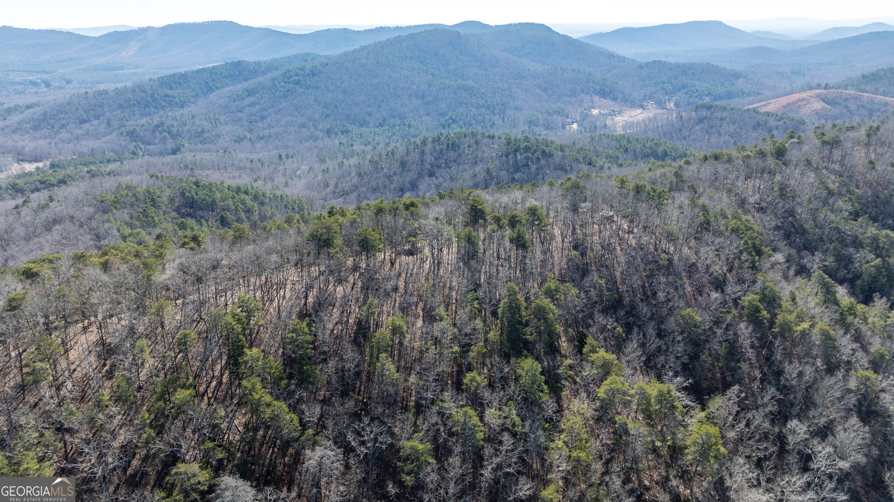 2077 Big Texas Valley Rome GA 30165