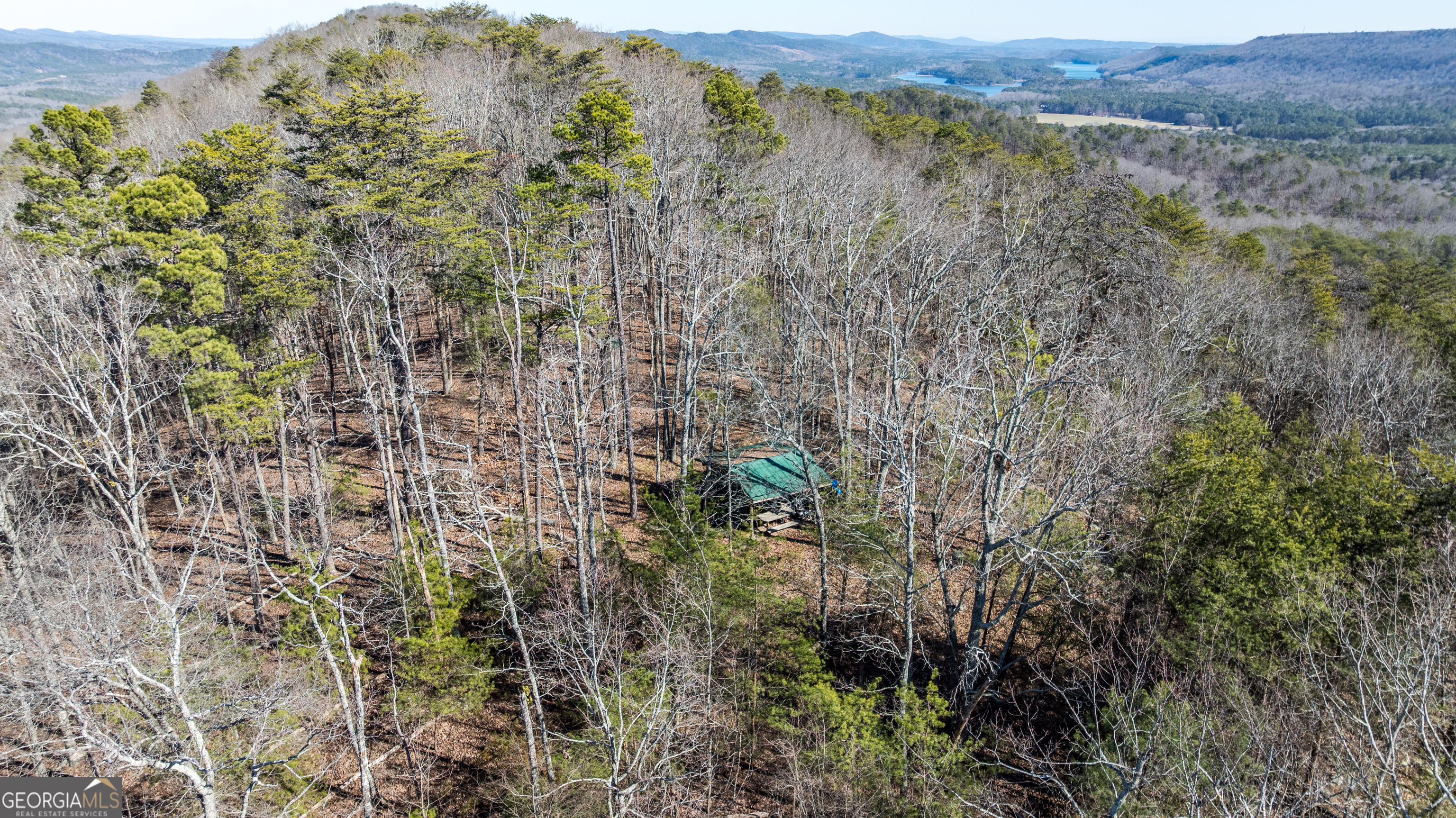 2077 Big Texas Valley Rome GA 30165