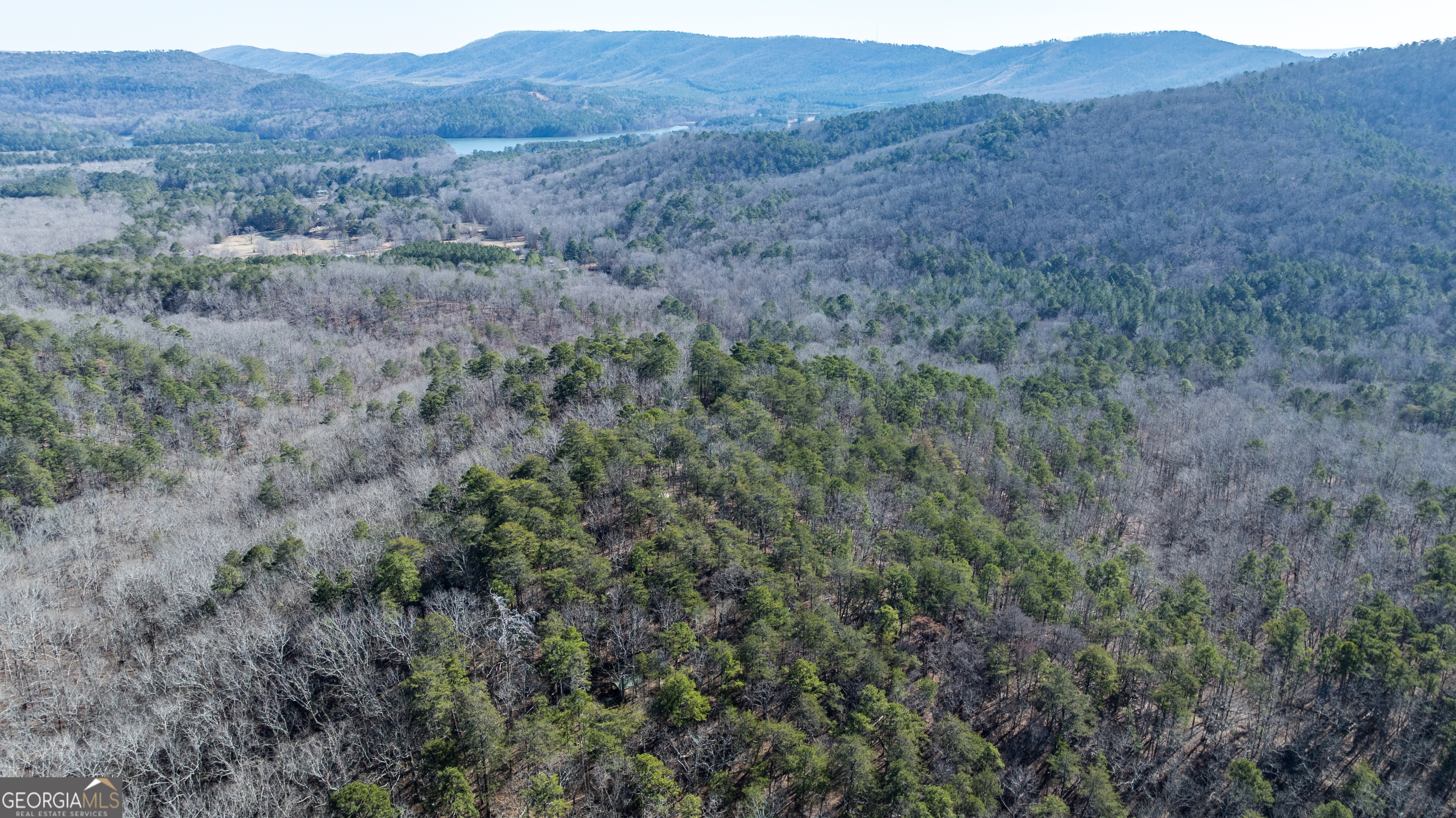 2077 Big Texas Valley Rome GA 30165