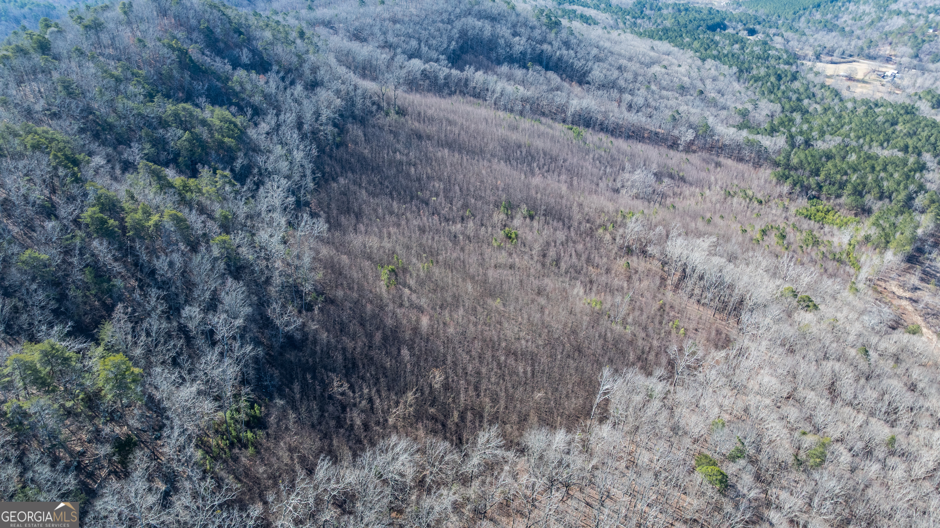 2077 Big Texas Valley Rome GA 30165