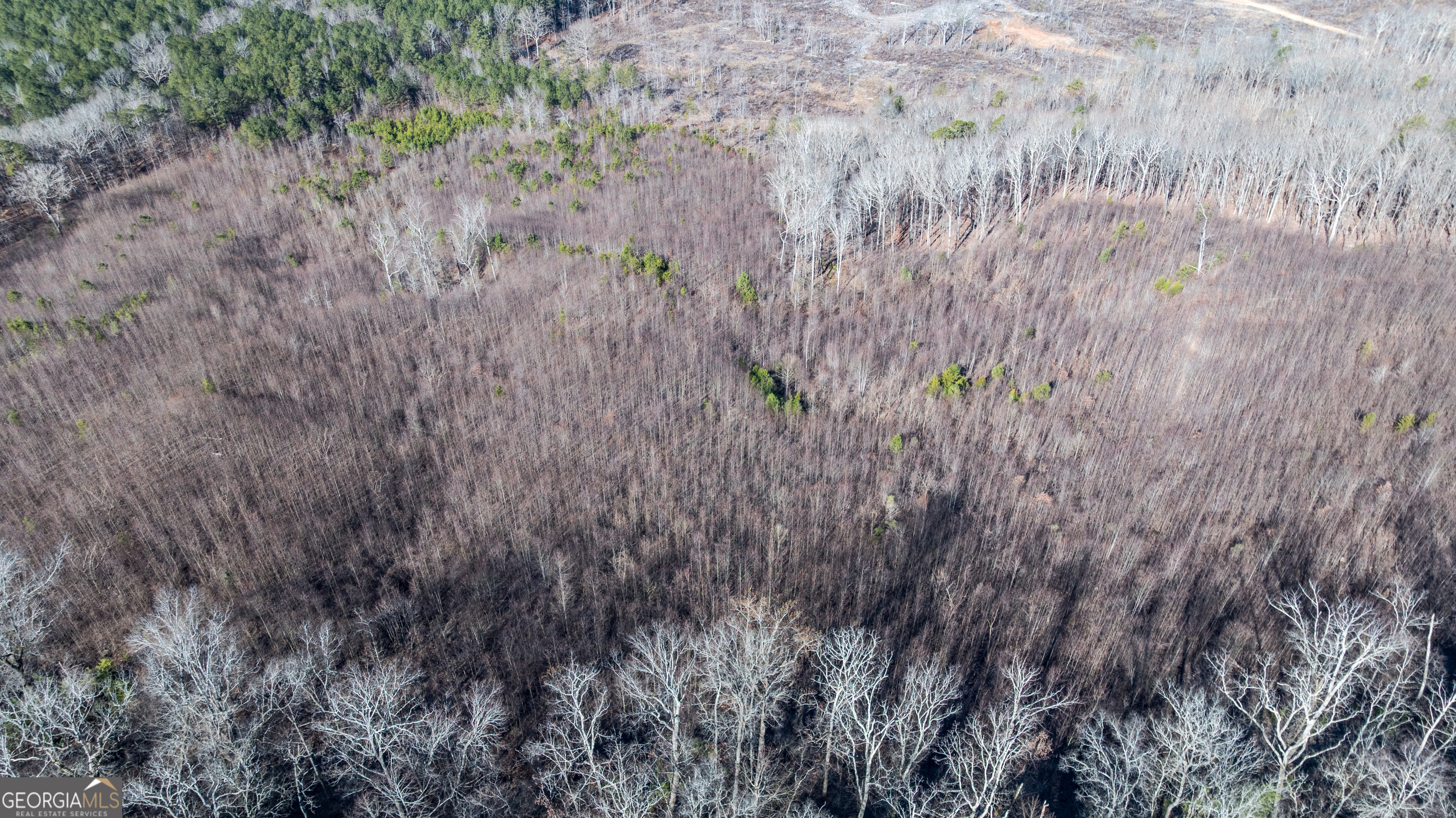 2077 Big Texas Valley Rome GA 30165