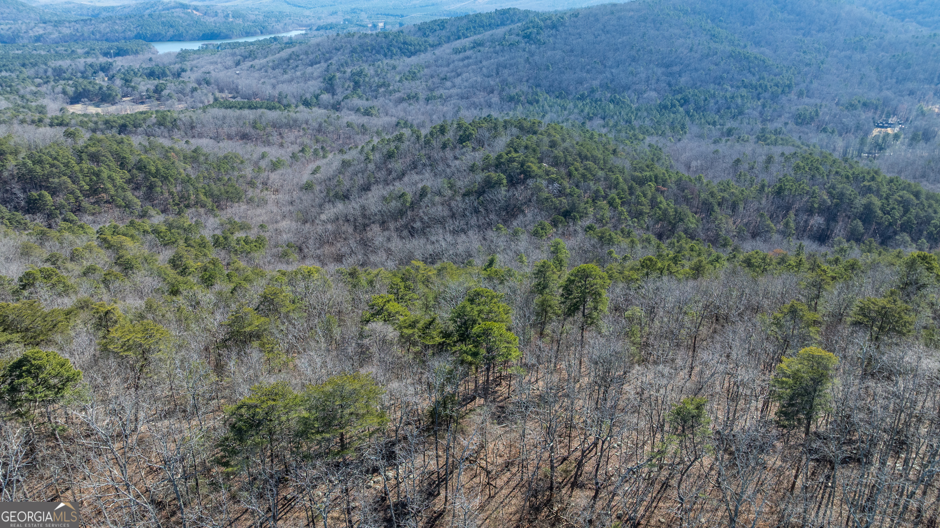 2077 Big Texas Valley Rome GA 30165