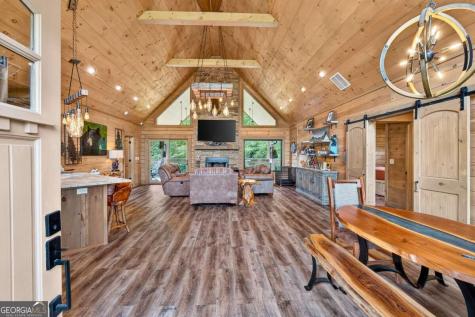 113 Downy Road Blue Ridge GA 30513