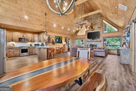 113 Downy Road Blue Ridge GA 30513