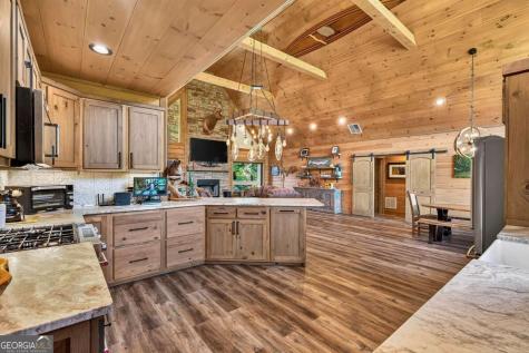 113 Downy Road Blue Ridge GA 30513