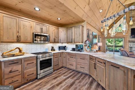 113 Downy Road Blue Ridge GA 30513