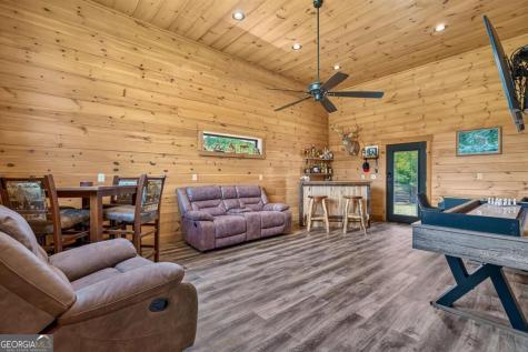113 Downy Road Blue Ridge GA 30513