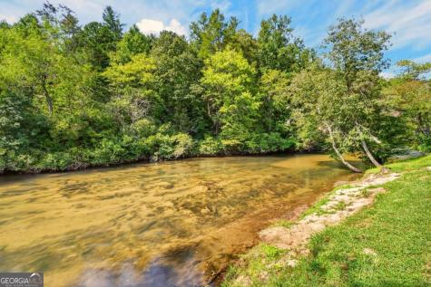 113 Downy Road Blue Ridge GA 30513
