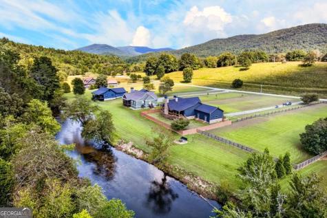 113 Downy Road Blue Ridge GA 30513